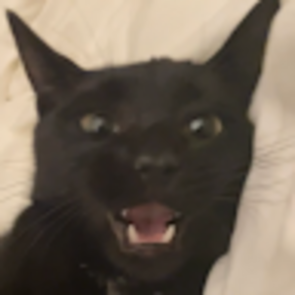 yeppiyeppi